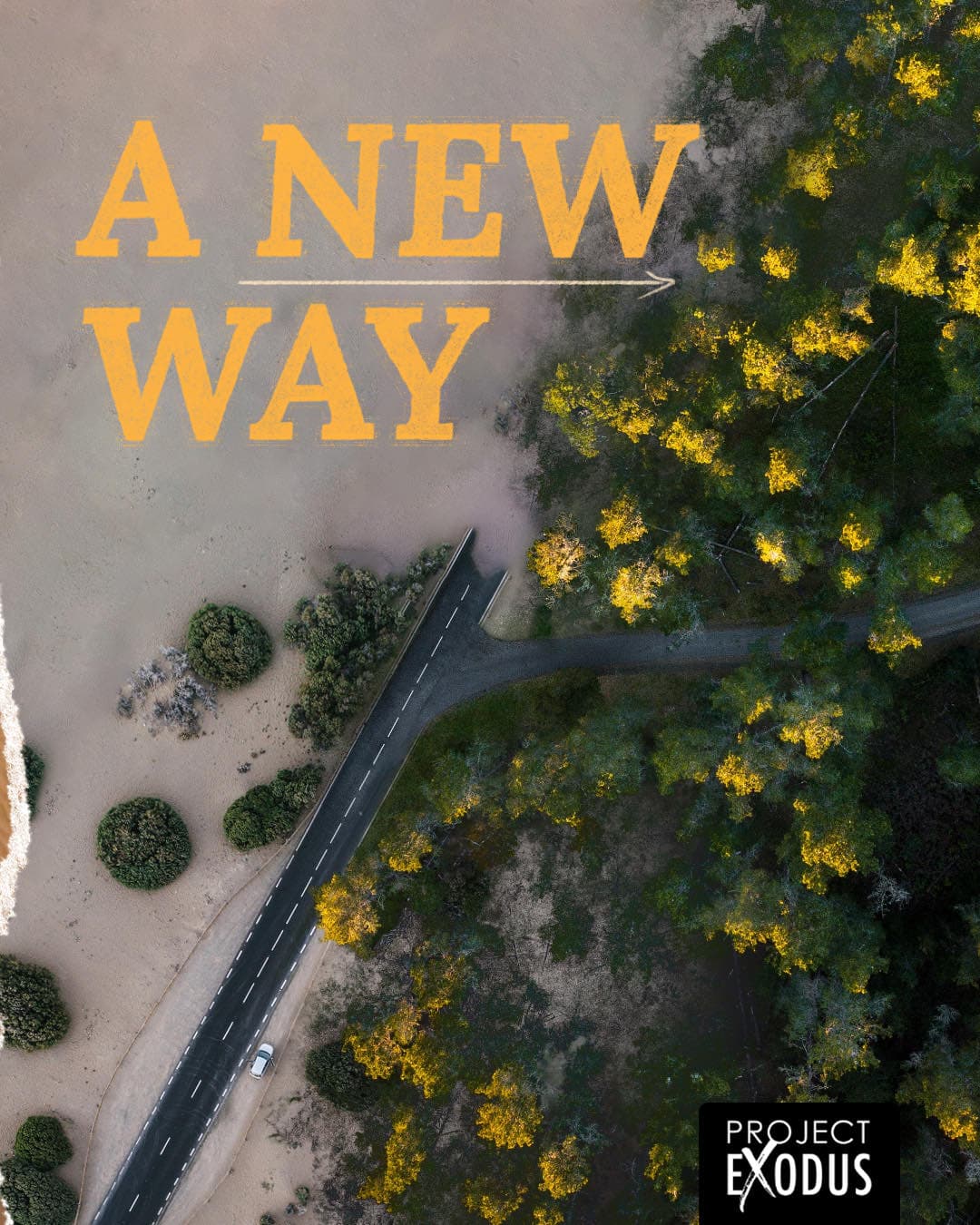 An aerial post: a road running out of sand into green scrub, A NEW WAY set across the top in yellow